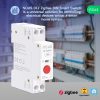 Nous D1Z - DIN-compatile smart Tuya Zigbee relay module, 16A