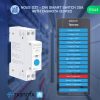 Nous D2T DIN Smart Switch 20A with Tasmota (1 channel, with PM, ESP32)