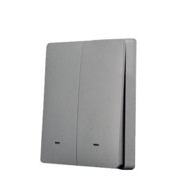 SmartWise wall switch front panel, dim grey, 2-button